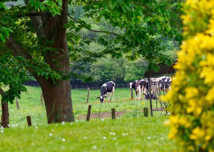 Lande Gaina By Interhome Appartement